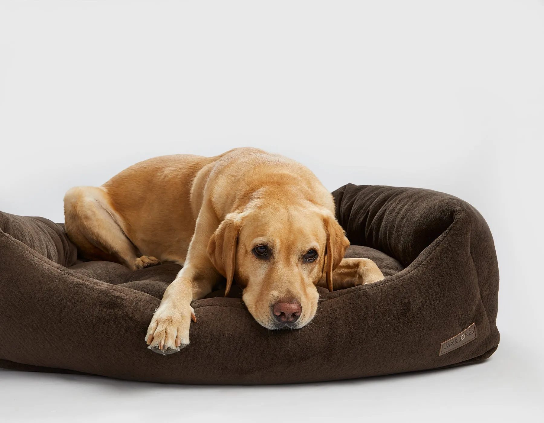 Chestnut Napper Bed