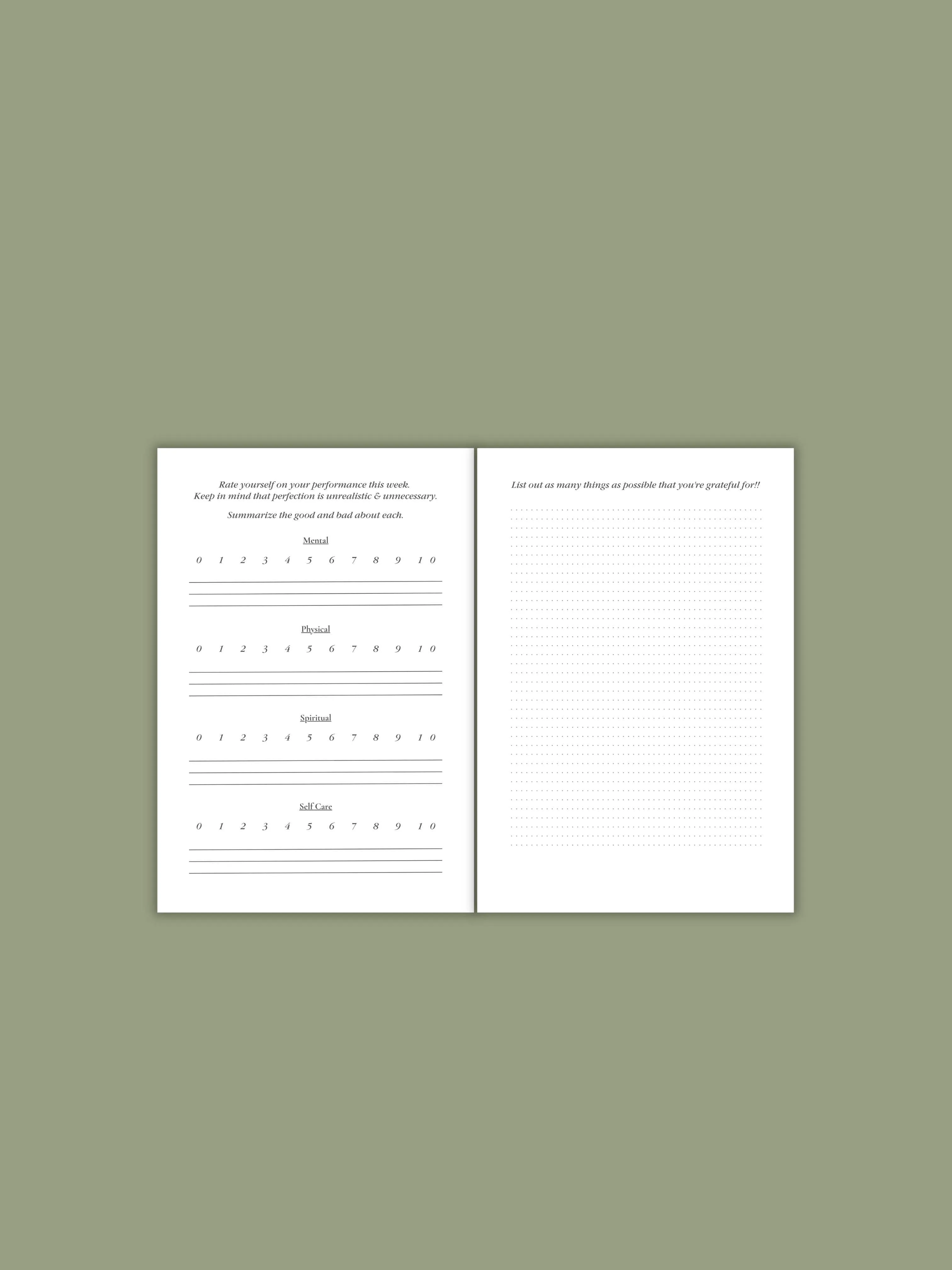 Pink Bow Wellness Journal