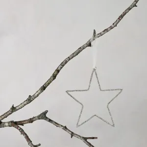Silver Crystal Hanging Star